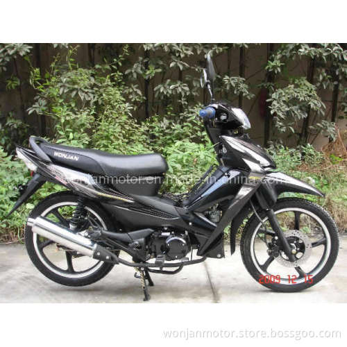 Asian Wolf Scooter (WJ110V)